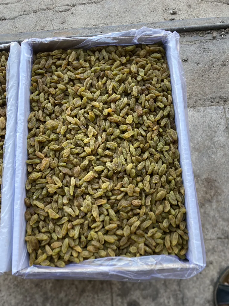 کشمش سبز معمولی